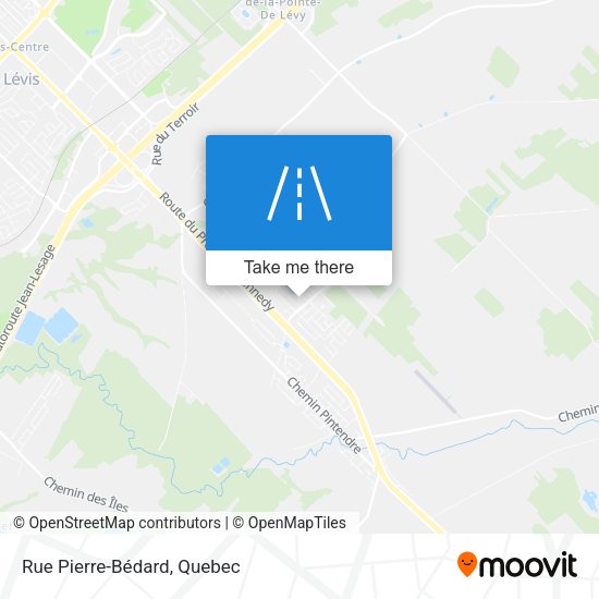 Rue Pierre-Bédard map