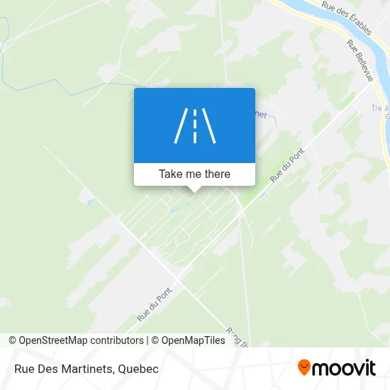 Rue Des Martinets map