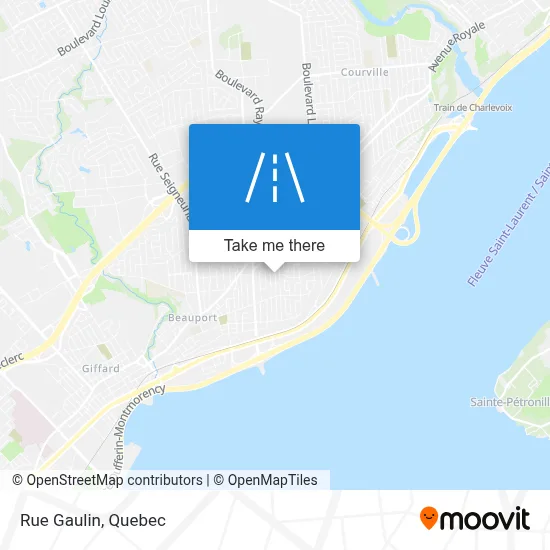 Rue Gaulin map
