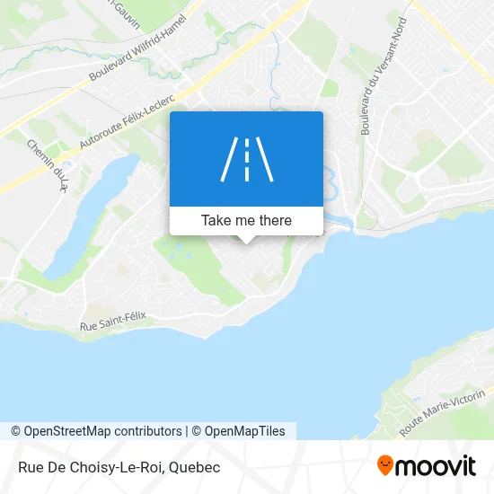 Rue De Choisy-Le-Roi map