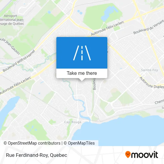 Rue Ferdinand-Roy map