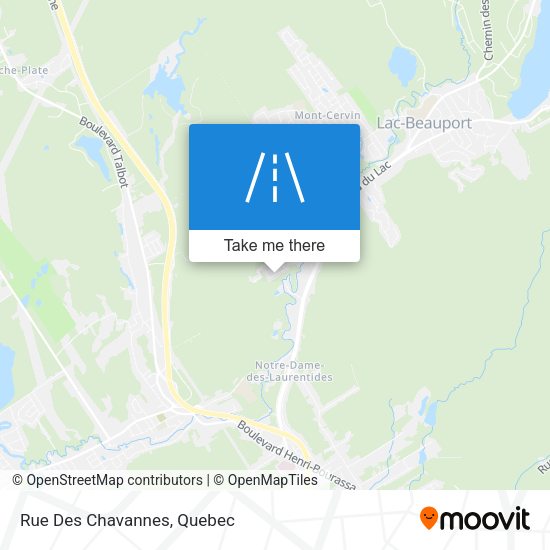 Rue Des Chavannes map