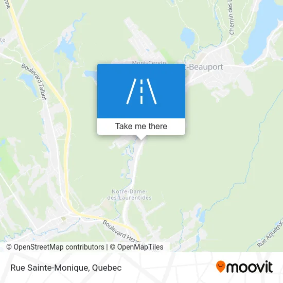 Rue Sainte-Monique map