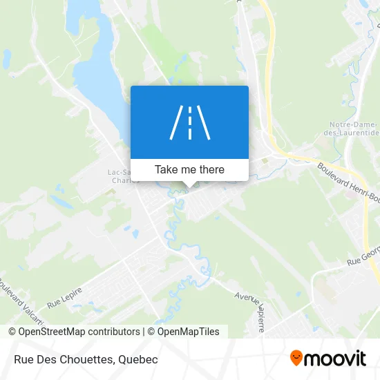 Rue Des Chouettes map