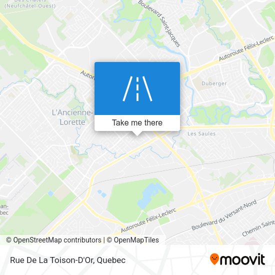 Rue De La Toison-D'Or map
