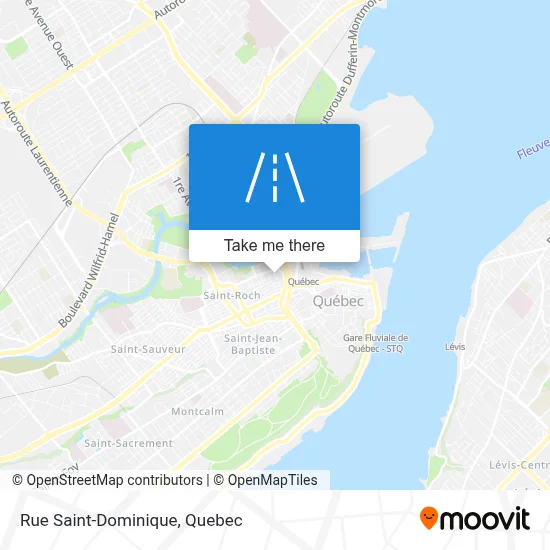 Rue Saint-Dominique map