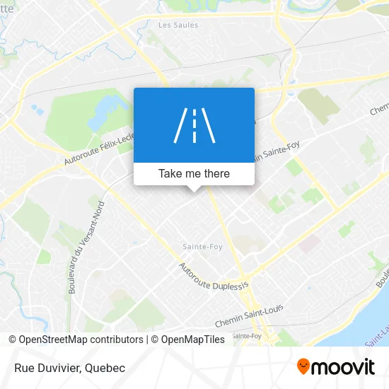 Rue Duvivier map
