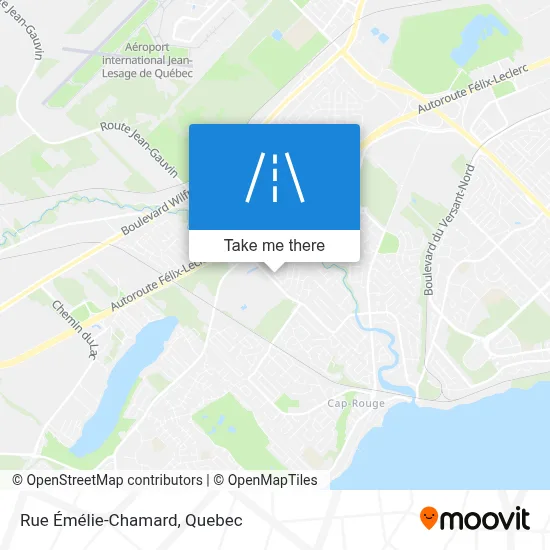 Rue Émélie-Chamard map