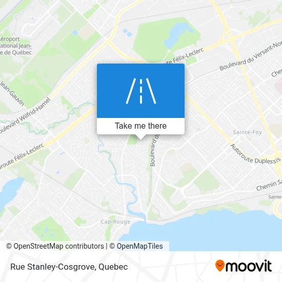Rue Stanley-Cosgrove map