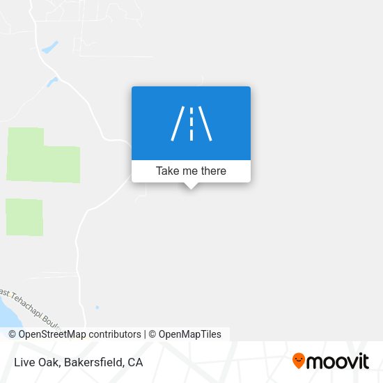 Live Oak map