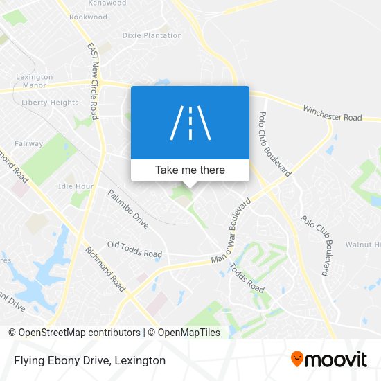 Flying Ebony Drive map