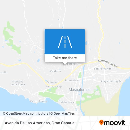 Avenida De Las Americas map