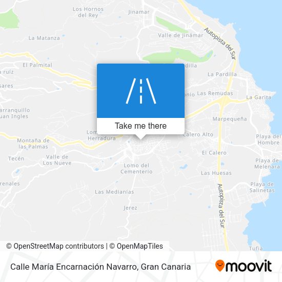 Calle María Encarnación Navarro map