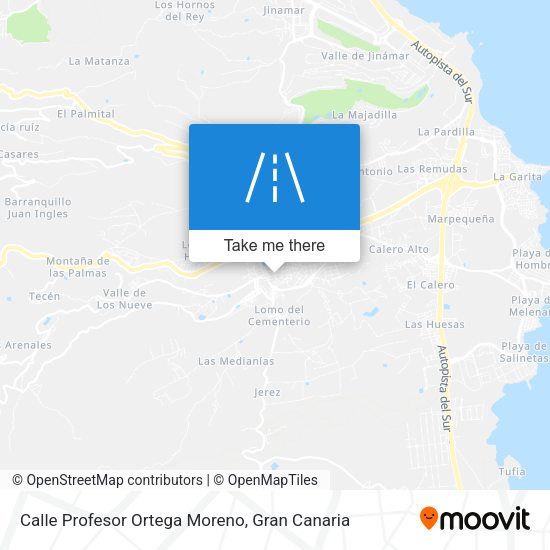 Calle Profesor Ortega Moreno map