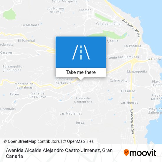 Avenida Alcalde Alejandro Castro Jiménez map