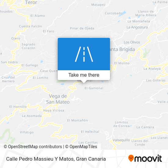 Calle Pedro Massieu Y Matos map