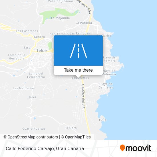 Calle Federico Carvajo map