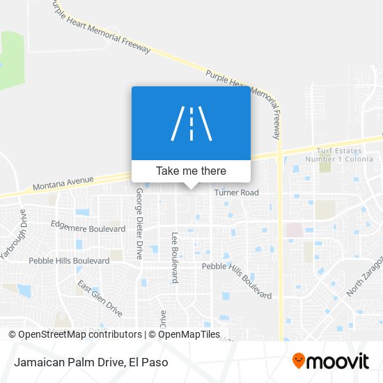 Jamaican Palm Drive map