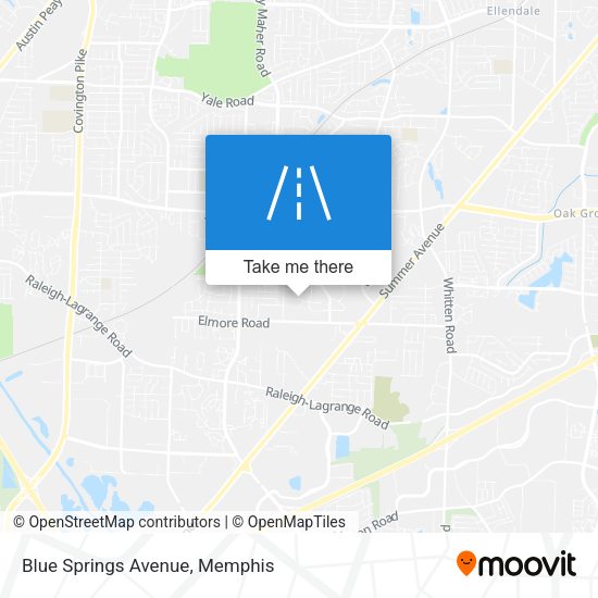 Blue Springs Avenue map