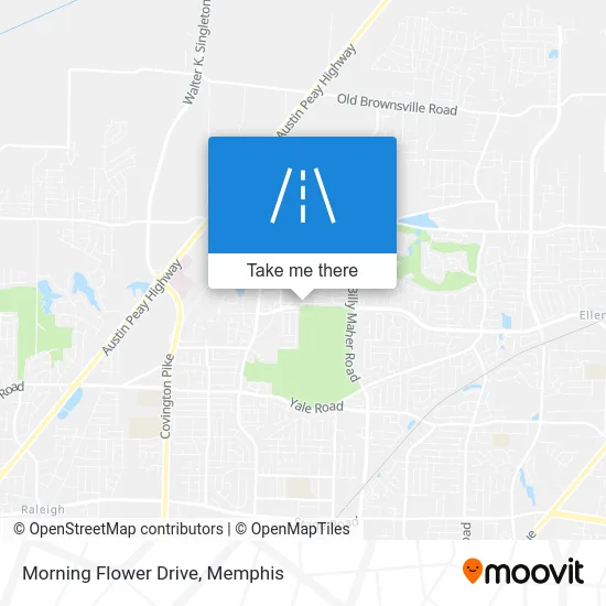 Morning Flower Drive map