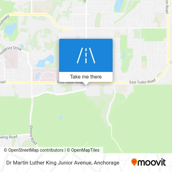 Dr Martin Luther King Junior Avenue map