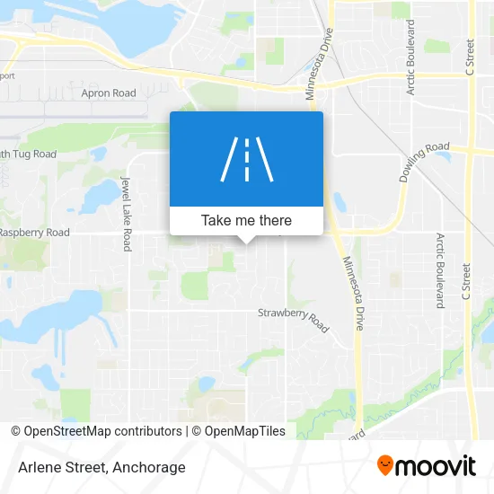Arlene Street map