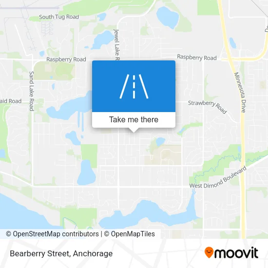 Bearberry Street map