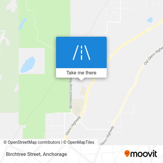 Birchtree Street map