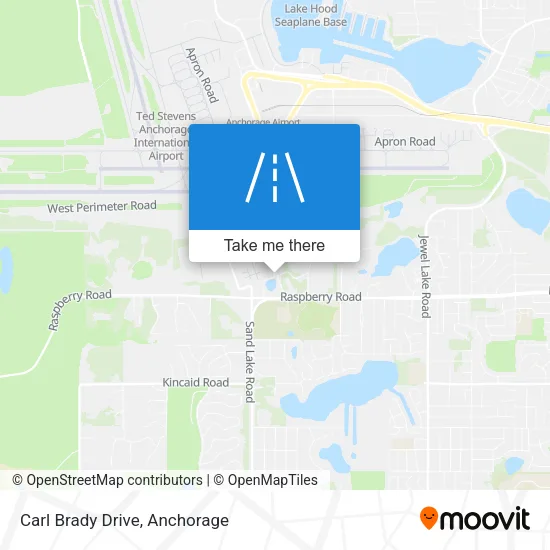 Carl Brady Drive map