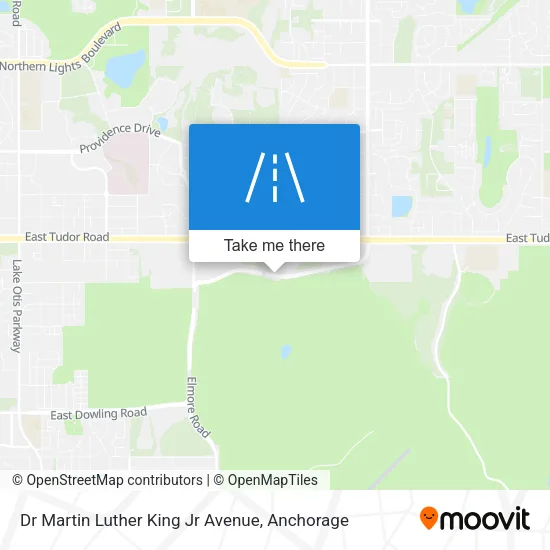 Dr Martin Luther King Jr Avenue map
