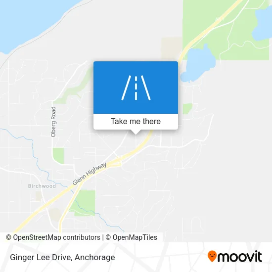 Ginger Lee Drive map