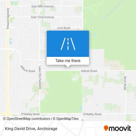 King David Drive map