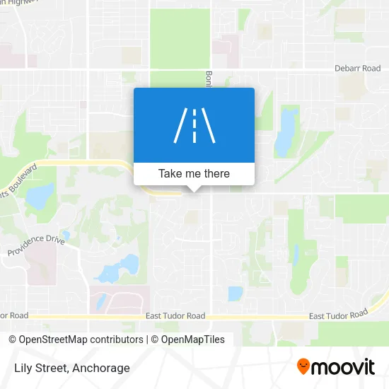 Lily Street map