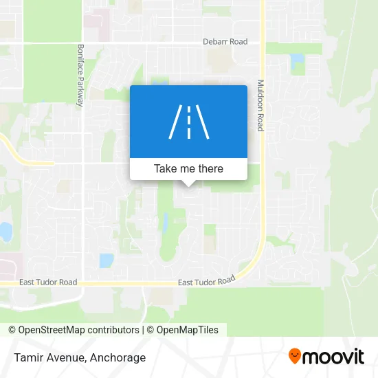 Tamir Avenue map