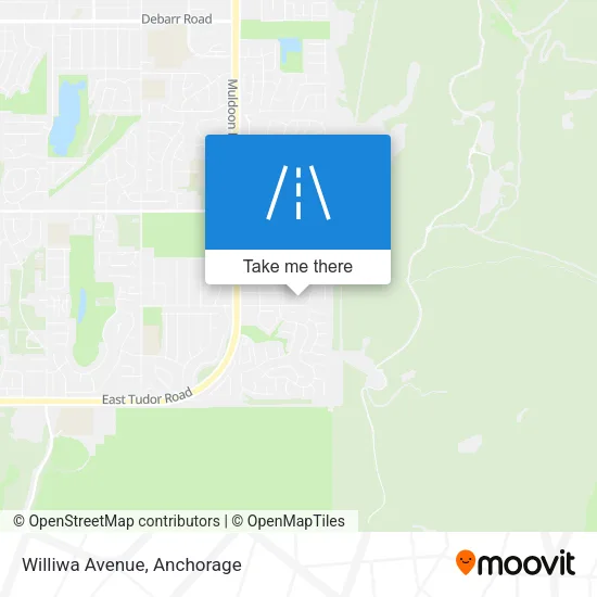 Williwa Avenue map