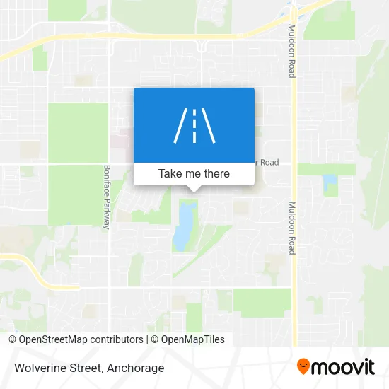 Wolverine Street map