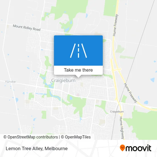 Mapa Lemon Tree Alley