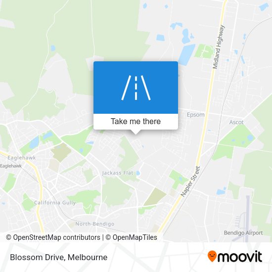 Blossom Drive map