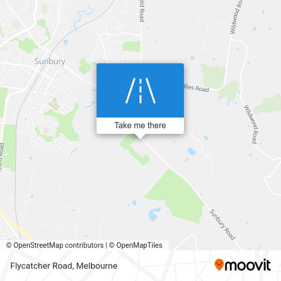 Flycatcher Road map