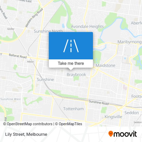 Lily Street map