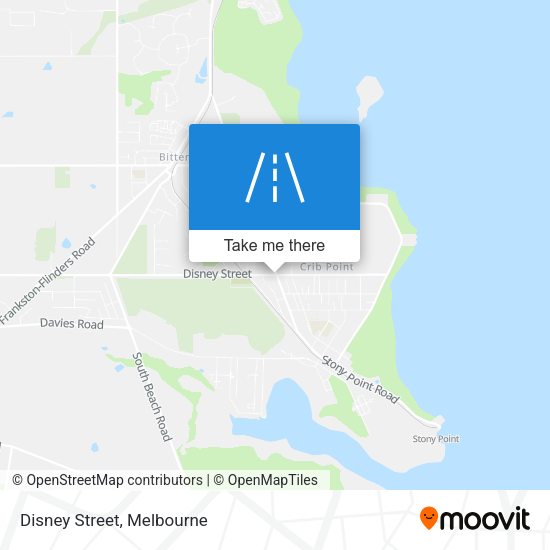 Disney Street map