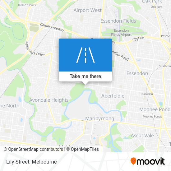 Lily Street map