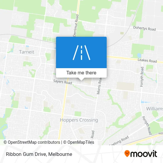Mapa Ribbon Gum Drive