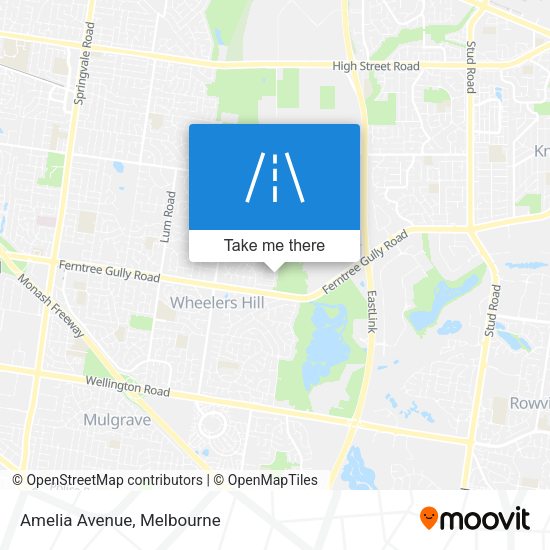 Amelia Avenue map