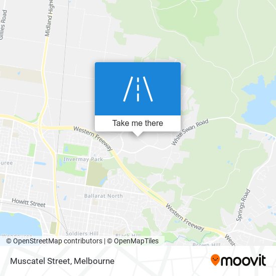 Muscatel Street map