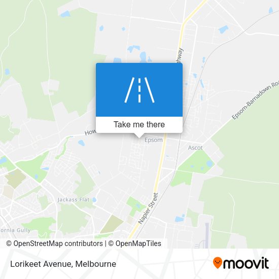 Lorikeet Avenue map