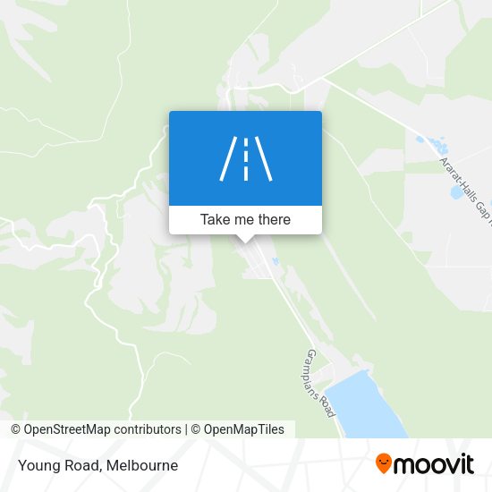 Young Road map