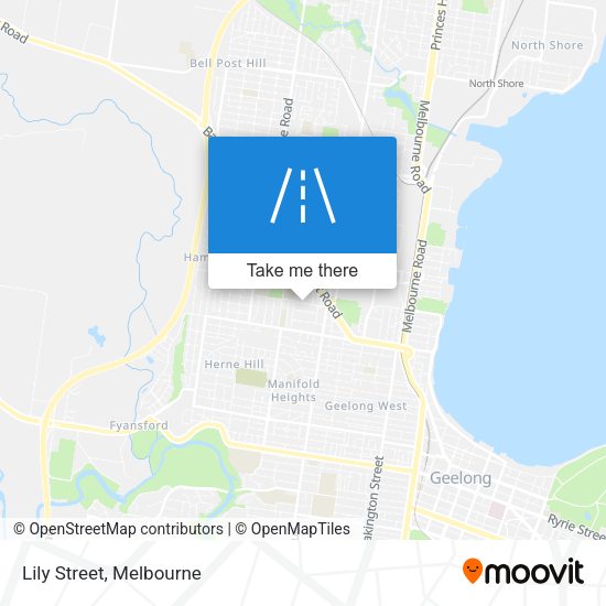 Lily Street map