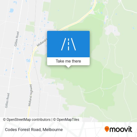 Codes Forest Road map