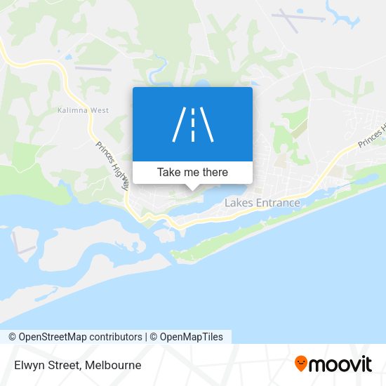 Elwyn Street map